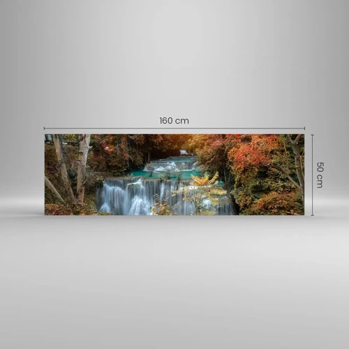 Obraz na skle - Ukrytý poklad lesa - 160x50 cm