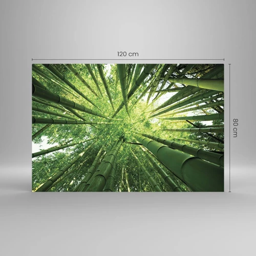 Obraz na skle - V bambusovom háji - 120x80 cm