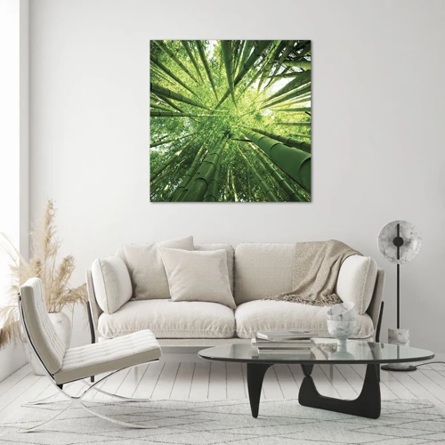 Obraz na skle - V bambusovom háji - 50x50 cm