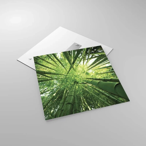 Obraz na skle - V bambusovom háji - 60x60 cm