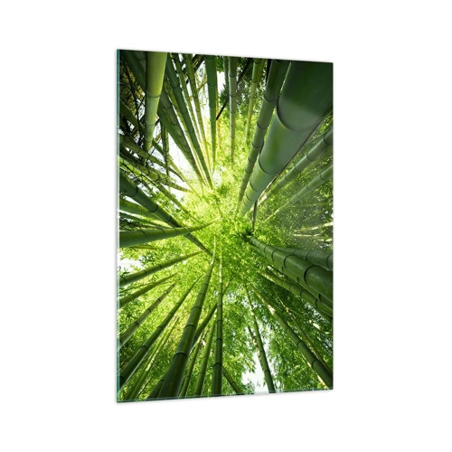 Obraz na skle - V bambusovom háji - 70x100 cm