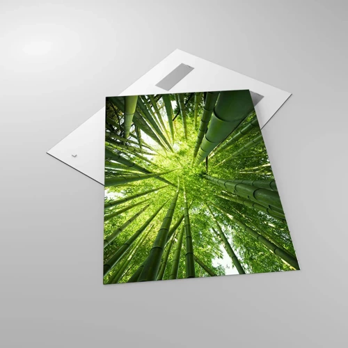 Obraz na skle - V bambusovom háji - 70x100 cm