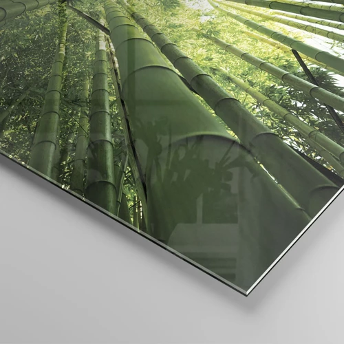 Obraz na skle - V bambusovom háji - 70x70 cm