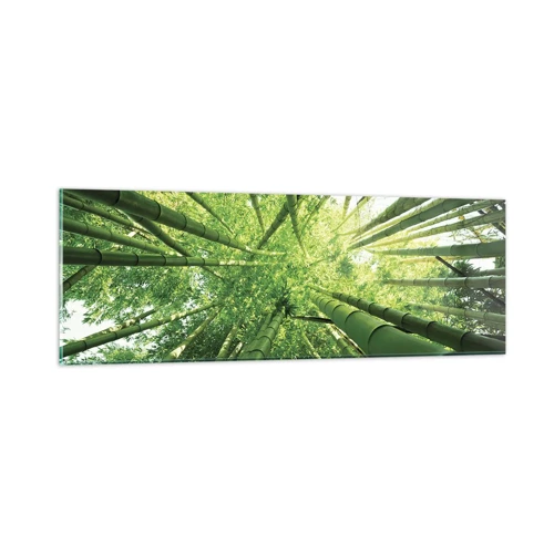 Obraz na skle - V bambusovom háji - 90x30 cm