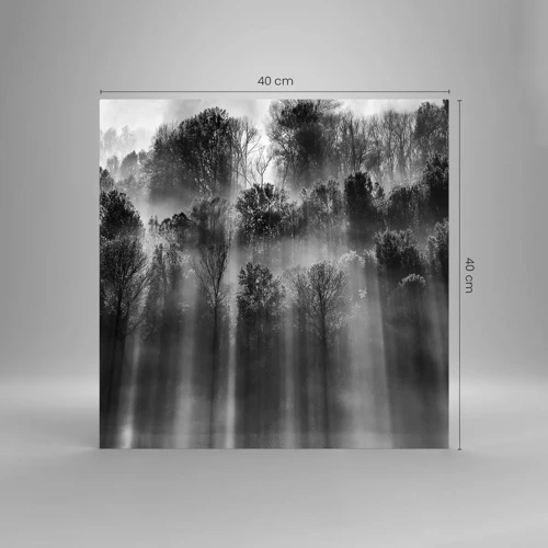 Obraz na skle - V lúčoch svetla - 40x40 cm