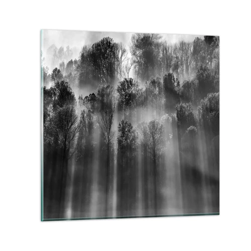 Obraz na skle - V lúčoch svetla - 60x60 cm