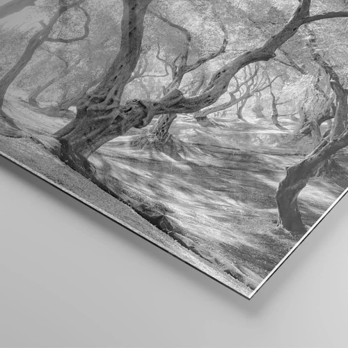 Obraz na skle - V olivovom háji - 100x40 cm