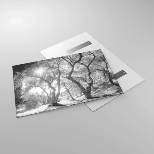 Obraz na skle - V olivovom háji - 120x80 cm