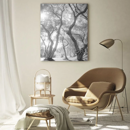 Obraz na skle - V olivovom háji - 70x100 cm