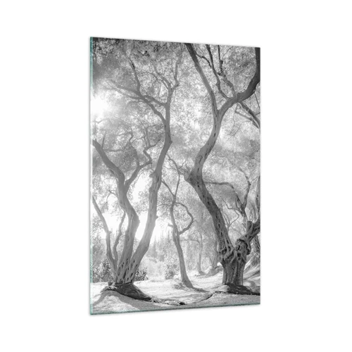 Obraz na skle - V olivovom háji - 80x120 cm