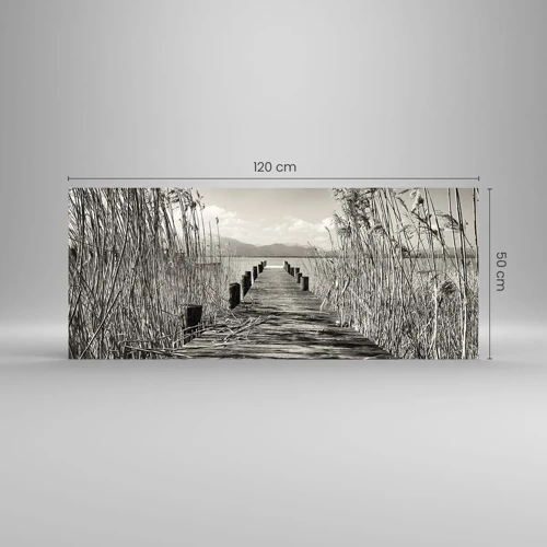 Obraz na skle - V ústraní tráv - 120x50 cm