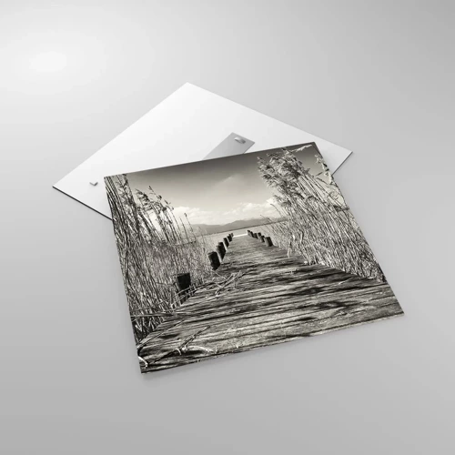 Obraz na skle - V ústraní tráv - 60x60 cm
