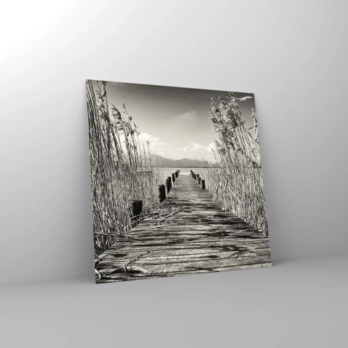 Obraz na skle - V ústraní tráv - 60x60 cm