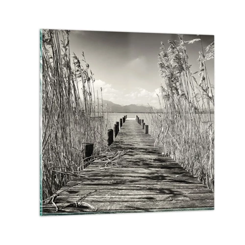 Obraz na skle - V ústraní tráv - 70x70 cm
