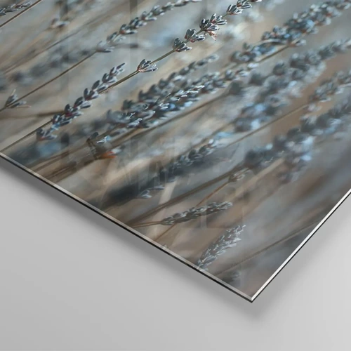 Obraz na skle - Voňavý lán - 70x100 cm