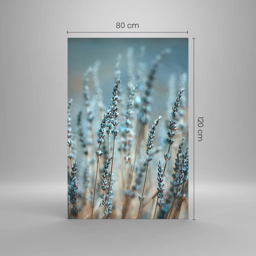 Obraz na skle - Voňavý lán - 80x120 cm