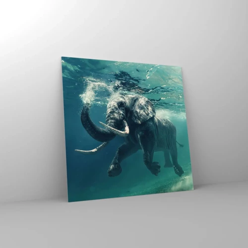 Obraz na skle - Všetci radi plávajú - 40x40 cm