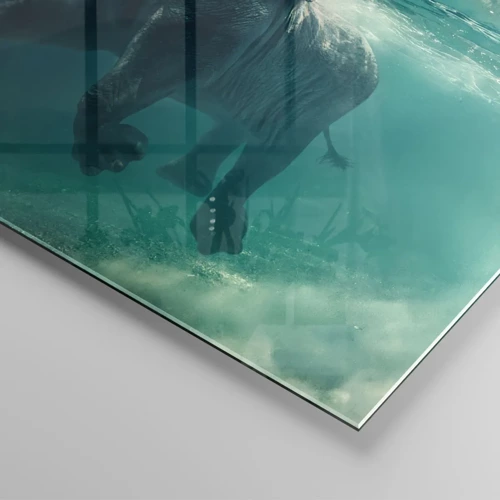 Obraz na skle - Všetci radi plávajú - 70x70 cm