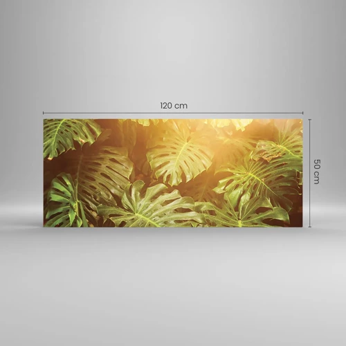 Obraz na skle - Vstúpiť do zelene… - 120x50 cm