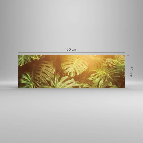 Obraz na skle - Vstúpiť do zelene… - 160x50 cm