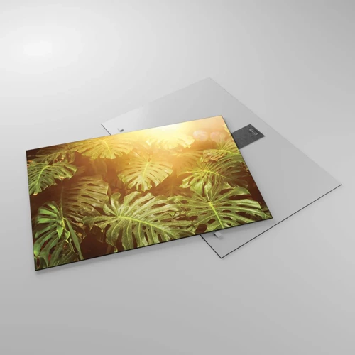 Obraz na skle - Vstúpiť do zelene… - 70x50 cm