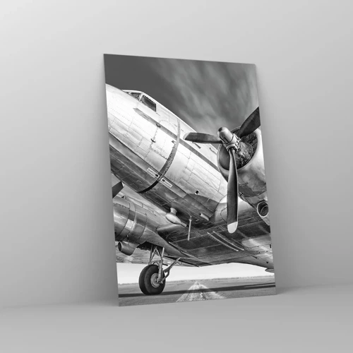 Obraz na skle - Vždy pripravený na let - 70x100 cm