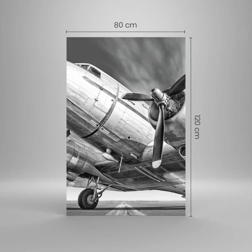 Obraz na skle - Vždy pripravený na let - 80x120 cm