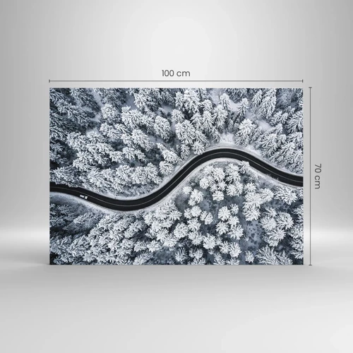 Obraz na skle - Zimným lesom - 100x70 cm