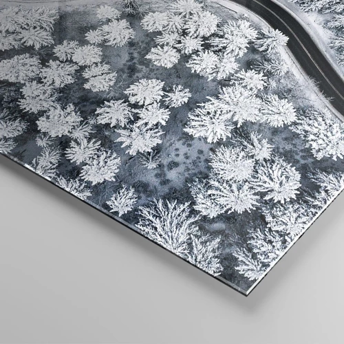 Obraz na skle - Zimným lesom - 100x70 cm