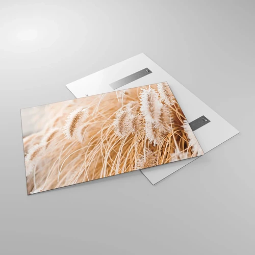 Obraz na skle - Zlaté šušťanie tráv - 120x80 cm