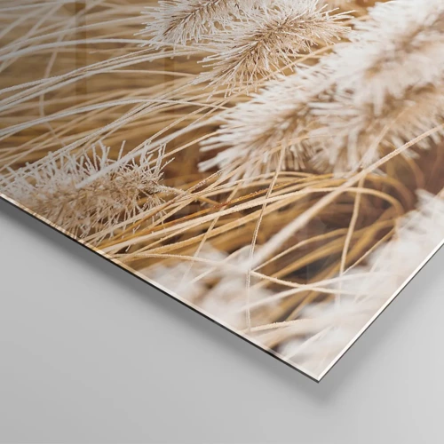 Obraz na skle - Zlaté šušťanie tráv - 140x50 cm