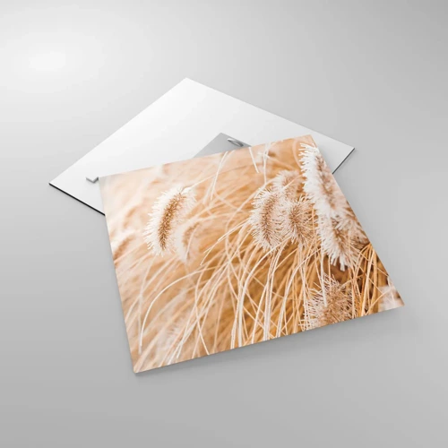 Obraz na skle - Zlaté šušťanie tráv - 40x40 cm