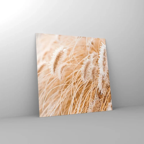 Obraz na skle - Zlaté šušťanie tráv - 50x50 cm