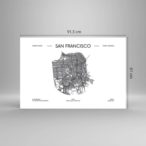 Plagát - Anatómia San Francisca - 91x61 cm