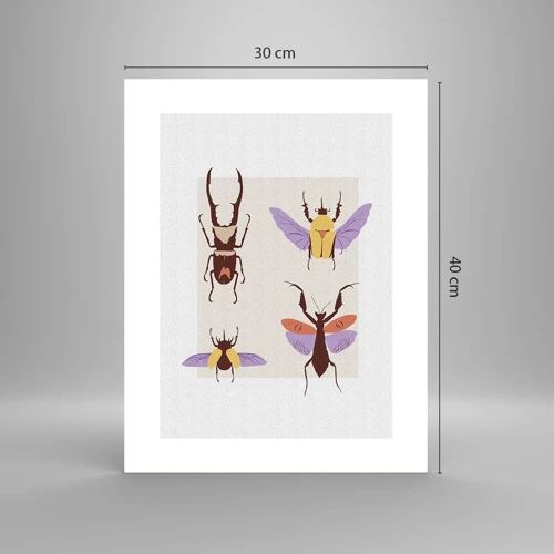 Plagát - Hmyzí svet - 30x40 cm