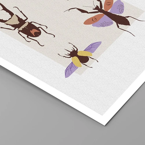 Plagát - Hmyzí svet - 30x40 cm