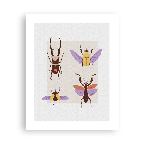 Plagát - Hmyzí svet - 40x50 cm