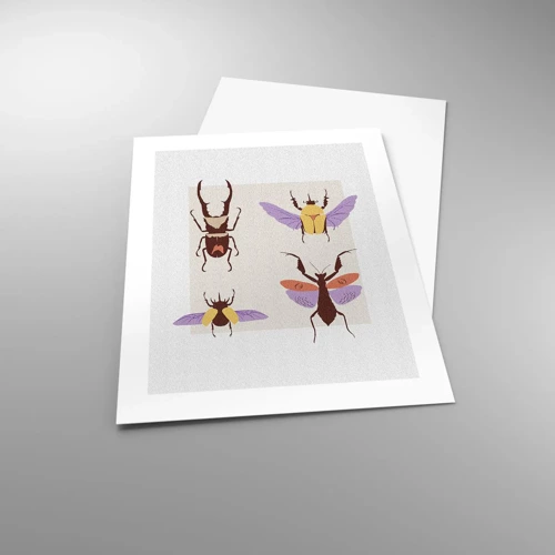 Plagát - Hmyzí svet - 40x50 cm