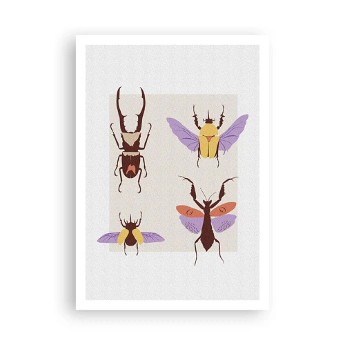 Plagát - Hmyzí svet - 70x100 cm