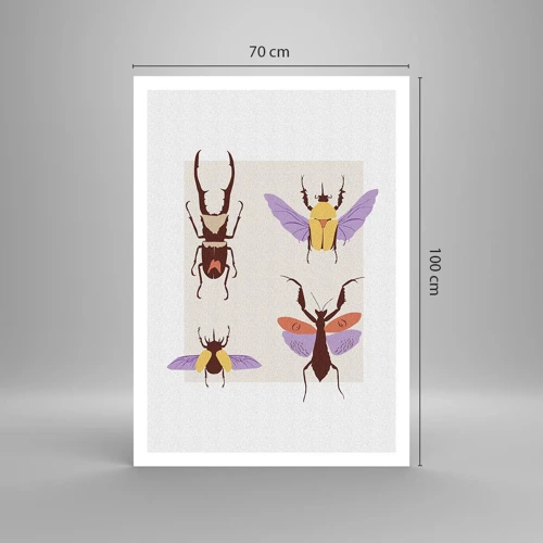 Plagát - Hmyzí svet - 70x100 cm
