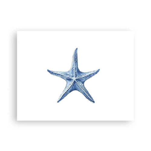 Plagát - Hviezda mora - 40x30 cm