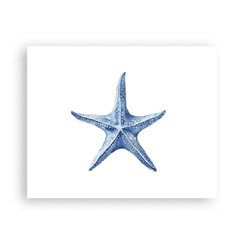 Plagát - Hviezda mora - 50x40 cm