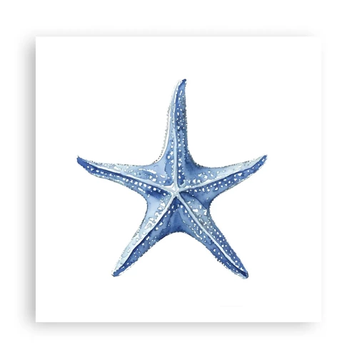 Plagát - Hviezda mora - 60x60 cm