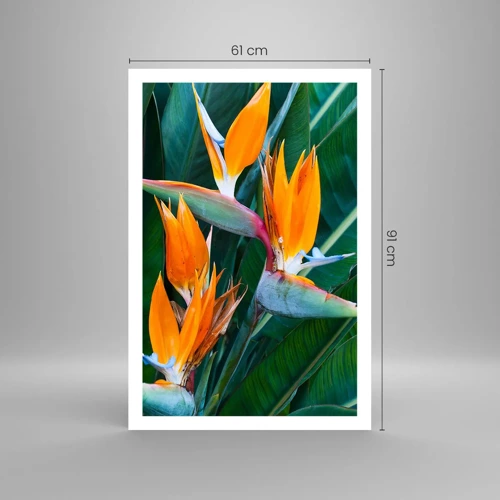 Plagát - Je to kvetina, alebo vták? - 61x91 cm