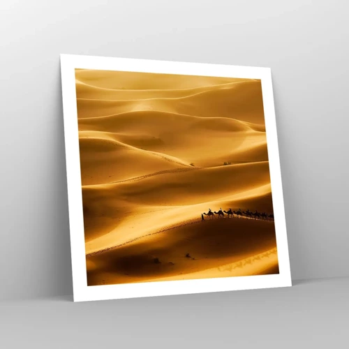 Plagát - Karavána na vlnách púšte - 60x60 cm