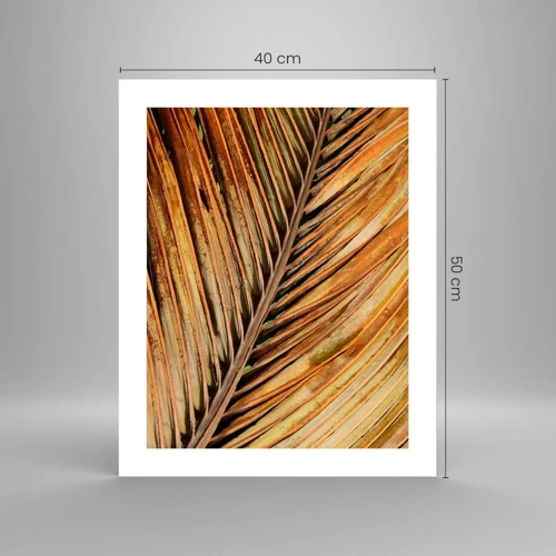 Plagát - Kokosové zlato - 40x50 cm