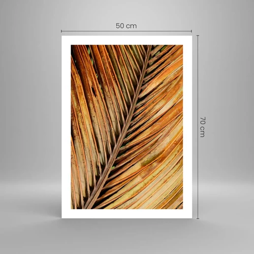 Plagát - Kokosové zlato - 50x70 cm