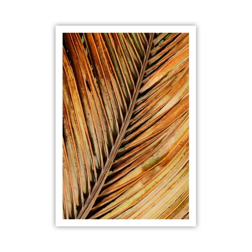 Plagát - Kokosové zlato - 70x100 cm