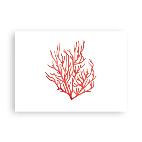 Plagát - Koralový filigrán - 70x50 cm