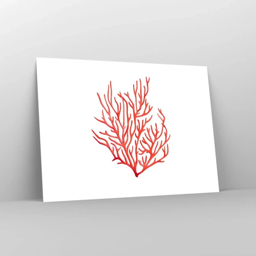 Plagát - Koralový filigrán - 70x50 cm